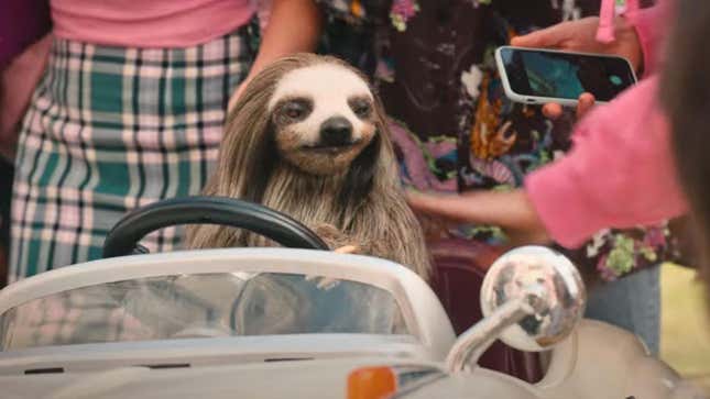 a sloth in a small car.