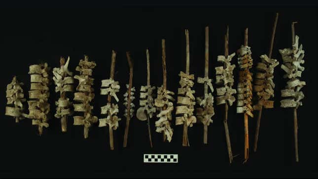 Ancient human spines threaded on sticks.
