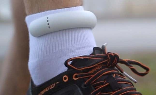 Image for article titled New wearable technologies to ‘hybridize’ humans