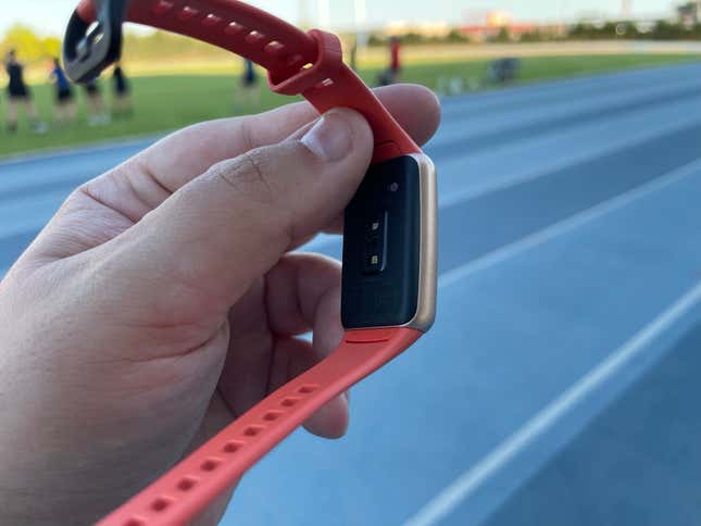Imagen para el artículo titulado Huawei Band 6: por fin una pulsera barata que planta cara a la Mi Band de Xiaomi