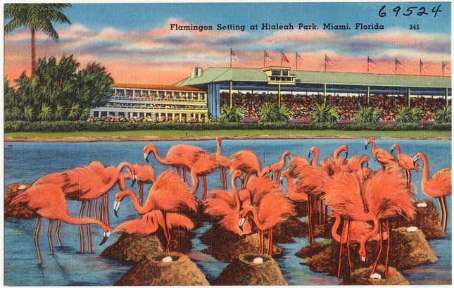 A Florida postcard from the 1940s.