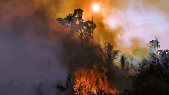 Smoke and flames rise from an illegally lit fire in Amazon rainforest reserve, south of Novo Progresso in Para state, Brazil, on August 15, 2020. 