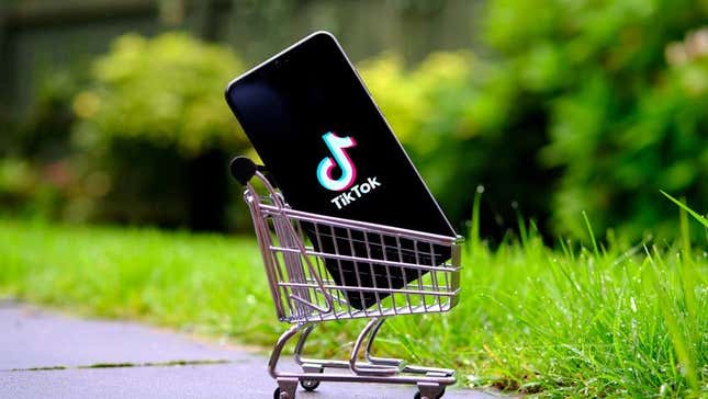 Image for article titled TikTok Is Going to Sell Cheap Junk in Competition With Shein and Temu