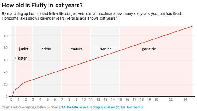 Image for article titled The real way to work out your pet’s age