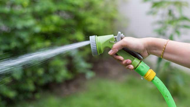 Image for article titled All the Things In Your House You Can Just Clean Outside With a Hose