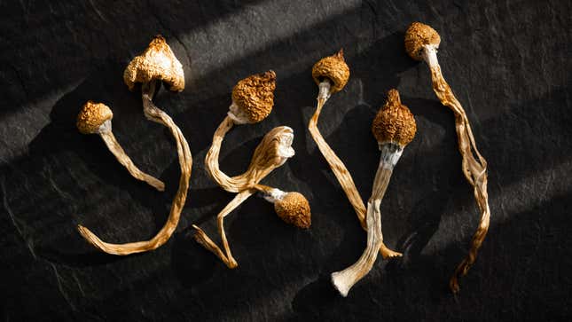 Image for article titled How to Eat Magic Mushrooms Without Gagging