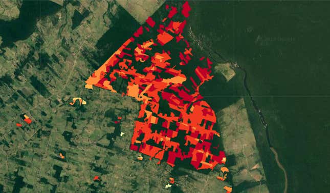Landsat analysis overlaid on 2010 Google Earth imagery shows signs of deforestation.