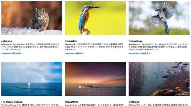 Image for article titled Startup:世界の森を可視化するクライメイトテックの新星
