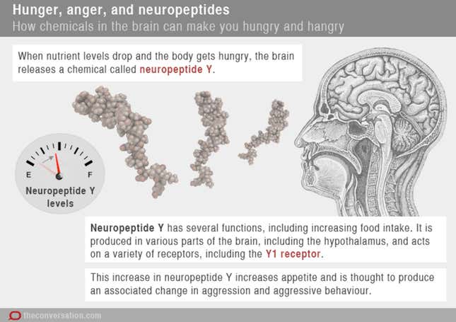 Image for article titled The science of “hangry”—why some people get grumpy when they’re hungry