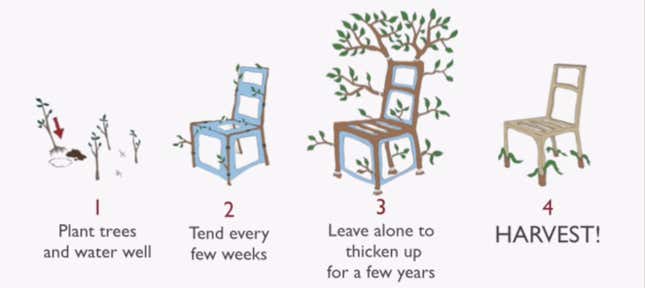 How to grow a chair in four steps