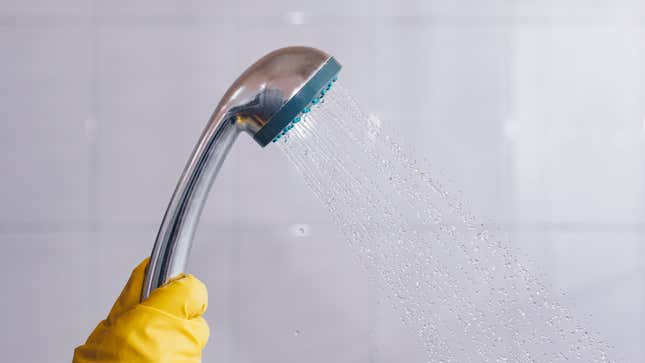 Image for article titled How to Clean Your Shower Head (and Why You Should)