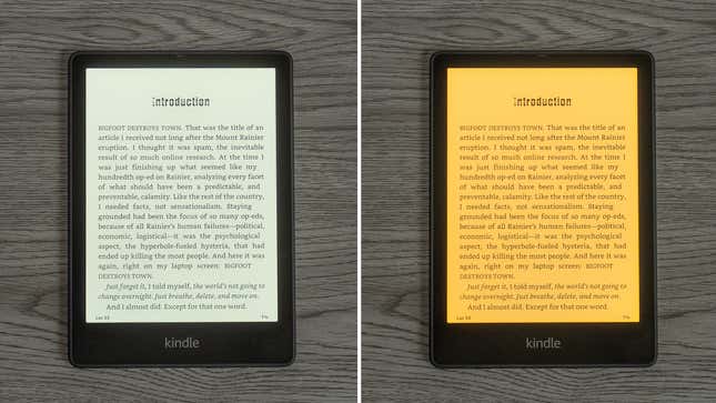 Amazon Kindle Paperwhite 5 Review: The Best for Reading