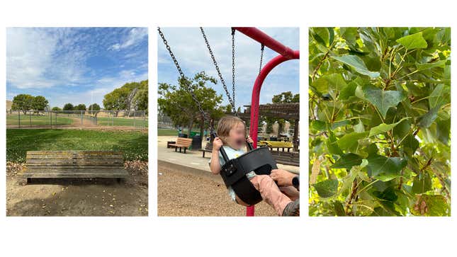 An image showing three more sample shots with the iPhone 14 Pro Max