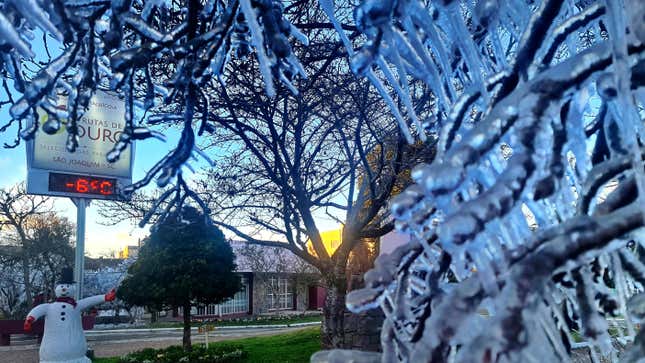 Ice covers trees at dawn while a thermometer shows sub-freezing temperatures during a cold snap in Sao Joaquim, Brazil, Wednesday, July 28, 2021.