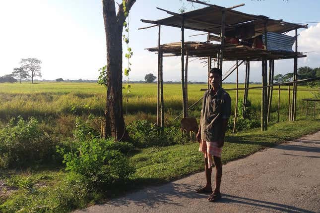 A machan built by village residents for crop guarding.