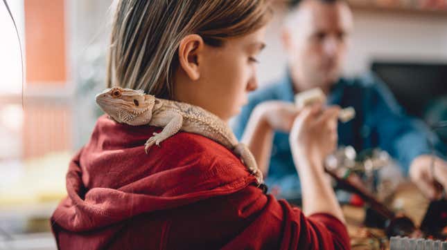 Image for article titled Don&#39;t Let the Kids Kiss Your Pet Lizard