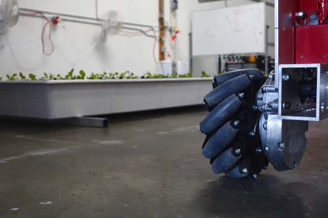 Image for article titled Your next head of lettuce, grown by a robot