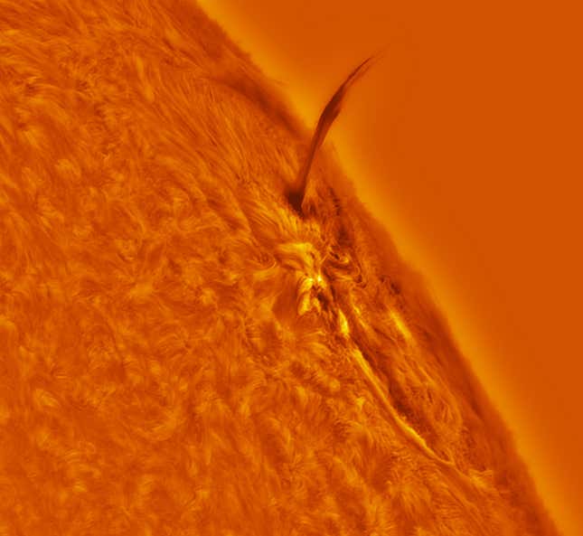 An erupting solar prominence, photographed through a solar telescope, as seen from the UK.