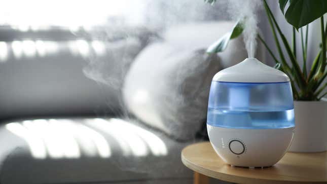 Image for article titled Never Put Essential Oils in Your Humidifier Water (but Do This Instead)