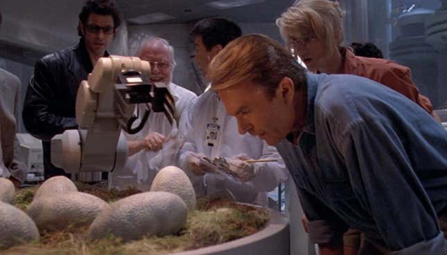 Grant and the crew look at dinosaur eggs.