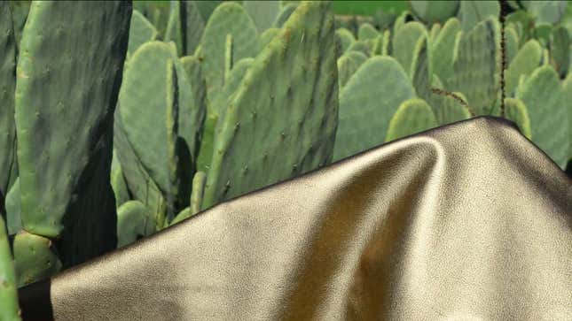 cactus based plant leather