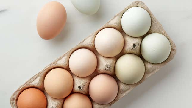 Image for article titled Why Do Eggs Come in Different Colors (and How Much Does It Matter)?