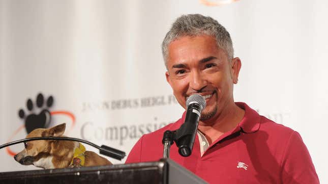 Image for article titled Dog Whisperer Cesar Millan Accused of Not Being Able to Control His Own Dog