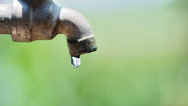 Image for article titled 10 Ways to Conserve Water That You Probably Never Thought Of
