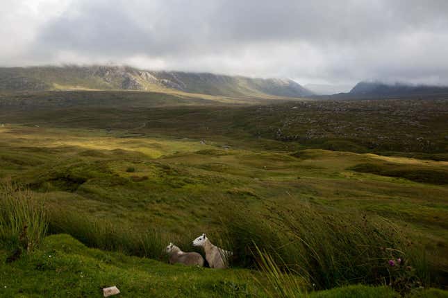 The beautiful landscapes around Kylesku, a fishing hamlet in Sutherland.