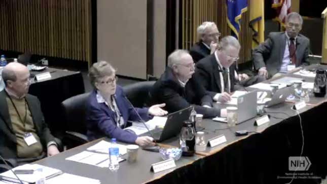 Members of the peer review panel discussing the NTP findings.
