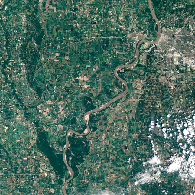 Image for article titled The winding beauty of the world’s rivers, seen from space