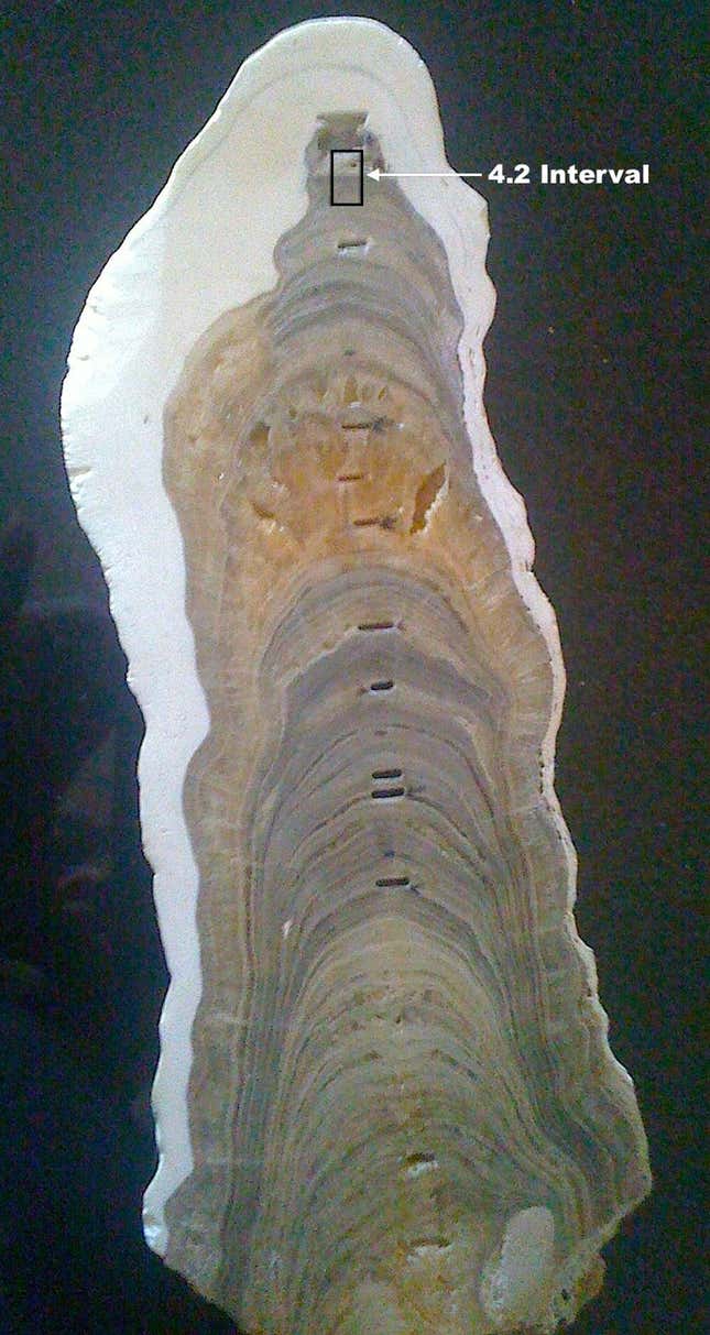 Layers within the Indian stalagmite that defines the beginning of the Late Holocene Meghalayan Age, 4,200 years ago.