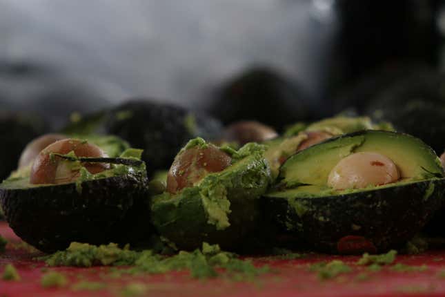 Avocados are pictured as volunteers from a culinary school attempt to set a new Guinness World Record for the largest serving of guacamole in Concepcion de Buenos Aires, Jalisco,