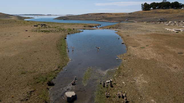 This aerial image shows a bird taking flight as empty boat slips sit on a dry lake bed at Folsom Lake Marina as the lake experiences lower water levels during the California drought emergency on May 27, 2021 in El Dorado Hills, California.