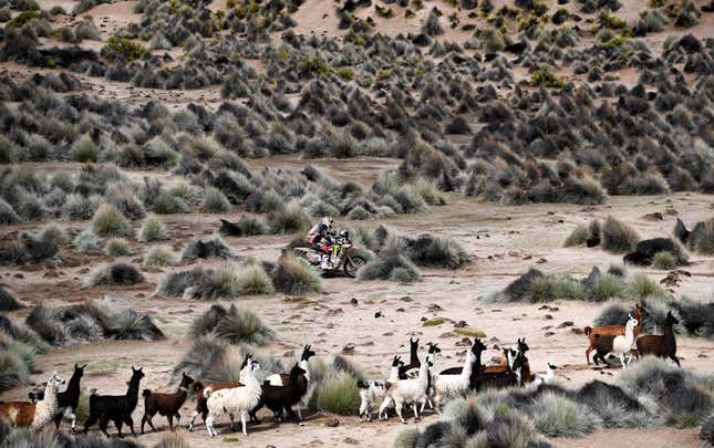 Image for article titled Photos: The epic landscape of the Dakar Rally, seen from above
