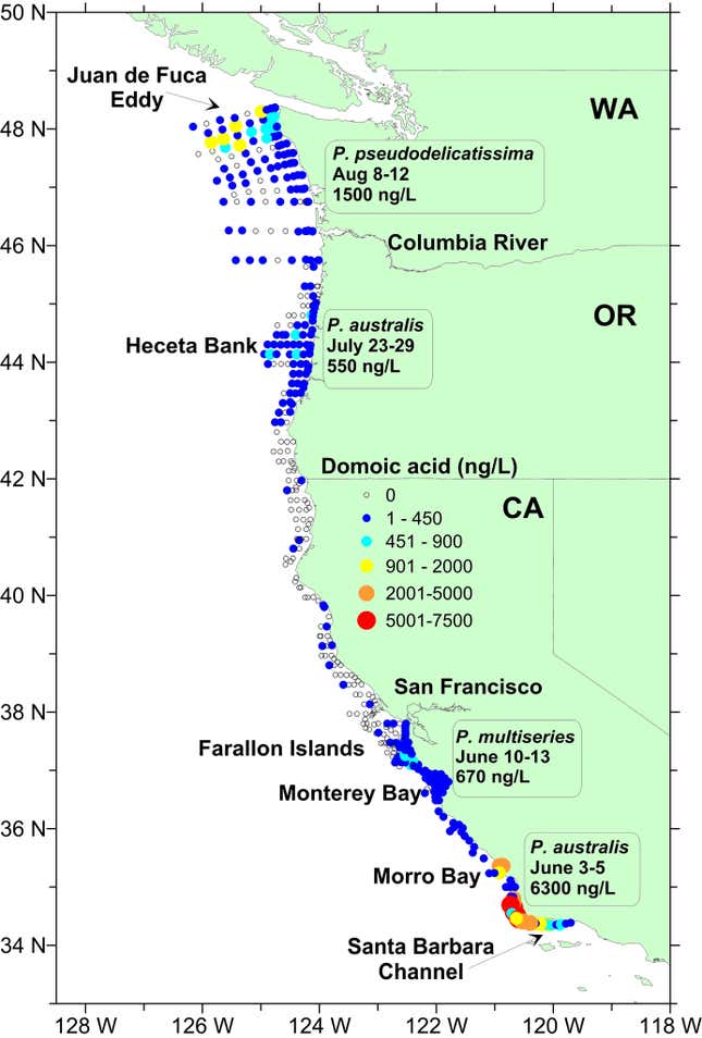 Image for article titled There’s a giant, toxic algae bloom stretching from Southern California to Alaska