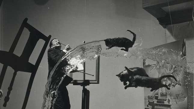 A 1948 portrait of Salvador Dali and three airborne cats.
