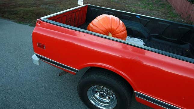 Giant pumpkin in truck bed