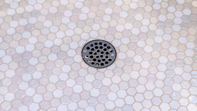 how-to-get-rid-of-the-sewage-smell-coming-from-your-shower-drain