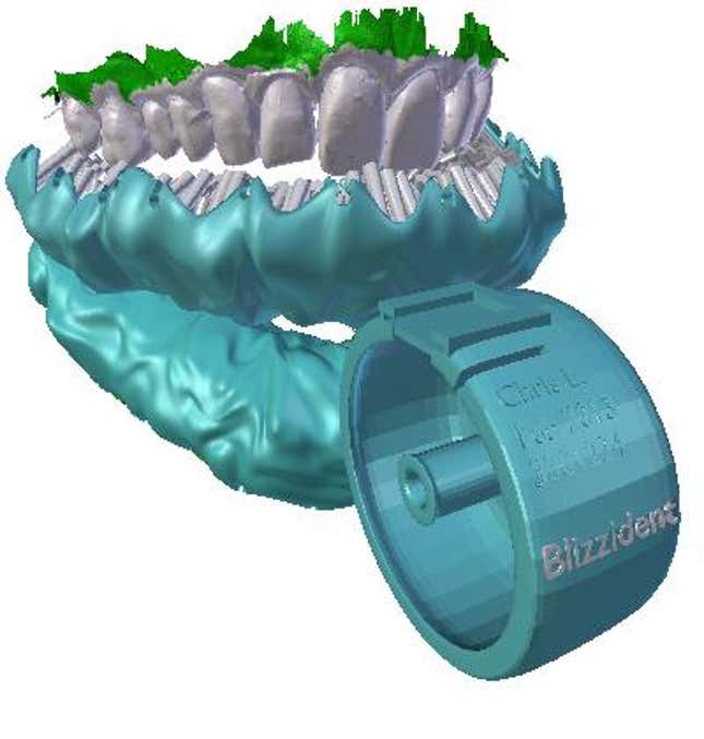 Blizzident looks strange now, but in twenty years it could be normal.