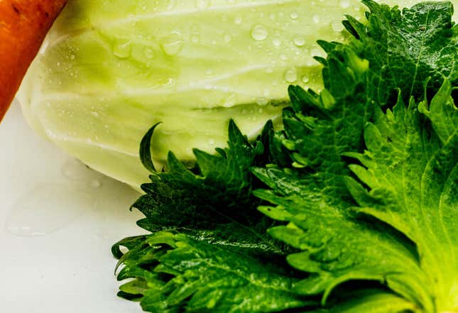 Perilla is often used in cuisines in several Asian countries. It is also a salad green. 