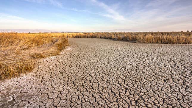 Image for article titled Californians Explain Why They Oppose Drought Restrictions