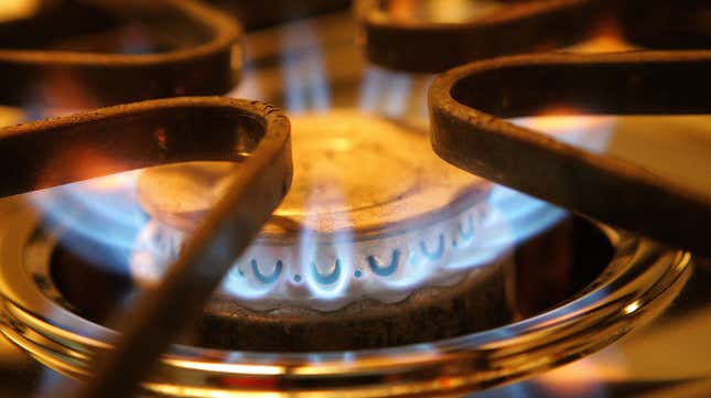 Image for article titled U.S. Considers Banning or Restricting Gas Stoves