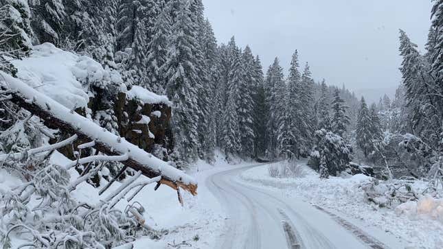 Image for article titled Google Maps Directed Drivers Down Dangerous Roads During Record Lake Tahoe Snowfall