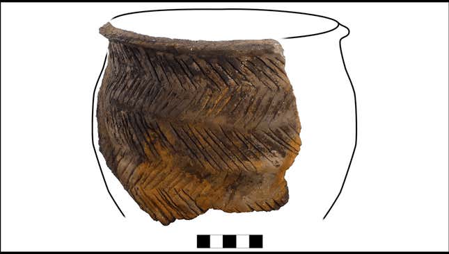 Imagen para el artículo titulado La humanidad se ha alimentado de tazones con cereales durante más de 5.000 años