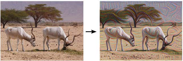 Image for article titled The “dreams” of Google’s AI are equal parts amazing and disturbing