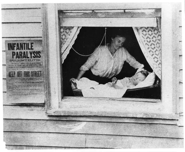Image for article titled 100 years ago, New York City declared war against polio and killed 72,000 cats (and 8,000 dogs)