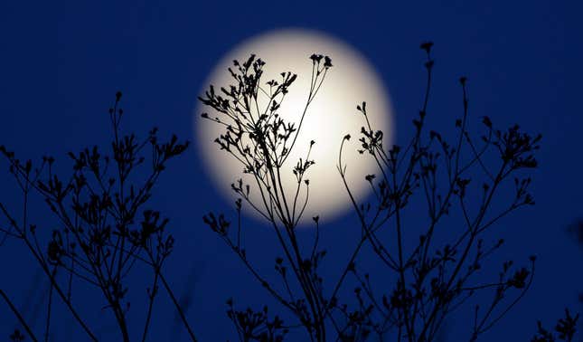 Photos: Supermoon casts its brilliant glow over Earth