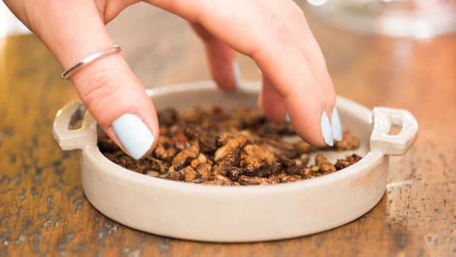 Roasted crickets by edible insect company Eat Grub, which are stocked at British supermarket chain Sainsbury's, are seen in this handout photo by Eat Grub. (NO ARCHIVE / NO SALES)