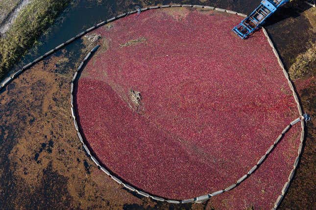 Image for article titled Aerial photos reveal the hypnotic geometry of farming